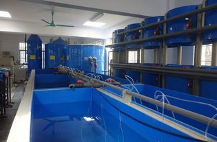 廣東省海洋工程職業(yè)技術(shù)學(xué)校養(yǎng)殖科實(shí)訓(xùn)設(shè)施風(fēng)采展示